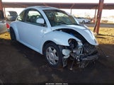 Volkswagen New Beetle Gls 3VWCC21C8YM491660 снимка