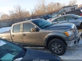 Ford F-150 Fx4/Harley-Davidson/King Ranch/Lariat/Platinum/Xl/Xlt 1FTFW1EV2AFD18848 fotografie