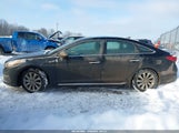 Hyundai Sonata Sport 5NPE34AF5GH429509 photo