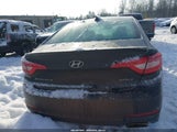 Hyundai Sonata Sport 5NPE34AF5GH429509 photo