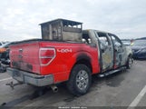 Ford F-150 Xlt 1FTFW1ET5BFC56443 снимка