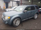 Ford Escape Xlt 1FMCU0DG8CKB39452 fotografie