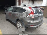 Miniaturka zdjęcia 3