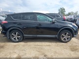 Toyota Rav4 Xle 2T3WFREV5JW455313 снимка