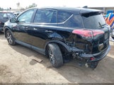 Toyota Rav4 Xle 2T3WFREV5JW455313 снимка