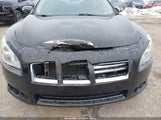 Nissan Maxima 3.5 Sv 1N4AA5APXEC465410 снимка