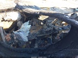 Subaru Outback Limited 4S4BTANC8P3183063 снимка