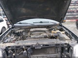 Ford F-150 Xlt 1FTFW1EF4DKD55081 снимка