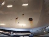 Nissan Altima Gle/Gxe/Se/Se-L/Xe 1N4DL01D5XC270950 снимка