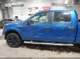 Ford F-150 Xlt 1FTFW1EF9BFD31462 снимка