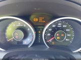 Miniaturka zdjęcia 7