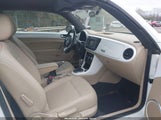 Volkswagen Beetle 2.0T Final Edition Se/2.0T Final Edition Sel/2.0T S/2.0T Se 3VW5DAAT8KM504804 снимка