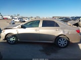 Toyota Corolla Le 1NXBU40EX9Z031502 снимка