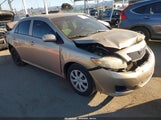 Toyota Corolla Le 1NXBU40EX9Z031502 снимка