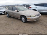 Chevrolet Malibu 1G1ND52MXX6277987 photo