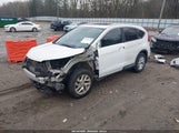Miniaturka zdjęcia 2