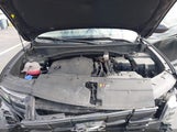 Miniaturka zdjęcia 10