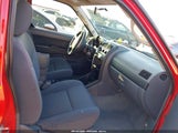 Miniaturka zdjęcia 5
