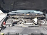 Ram  Big Horn 1C6RR7LT4DS653797 fotografie