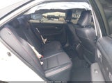 Miniaturka zdjęcia 8