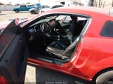 Miniaturka zdjęcia 5