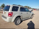 Ford Escape Xlt 1FMCU03719KA62692 снимка