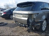 Miniaturka zdjęcia 6
