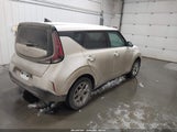 Miniaturka zdjęcia 4
