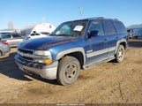 Miniaturka zdjęcia 2
