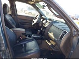 Miniaturka zdjęcia 5