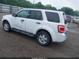 Ford Escape Xlt 1FMCU9D75BKC31105 fotografie