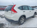 Honda Cr-V Lx 5J6RM4H34EL050255 снимка