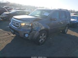 Honda Pilot Ex-L 5FNYF4H53BB095263 fotografie