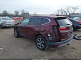 Miniaturka zdjęcia 3