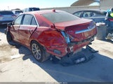 Miniaturka zdjęcia 3