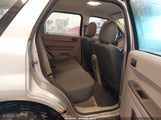 Ford Escape Xls 1FMCU0C77AKB64132 fotografie