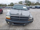Dodge Dakota Sport 1B7HL38X42S545560 снимка