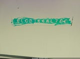 Miniaturka zdjęcia 9