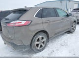 Ford Edge Sel 2FMPK4J93KBC26138 fotografie