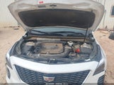 Cadillac Xt4 Fwd Luxury 1GYAZAR44NF109646 снимка