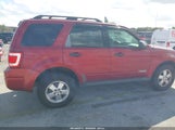 Ford Escape Xlt 1FMCU03Z88KA56520 снимка