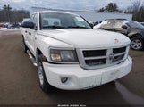 Dodge Dakota Bighorn/Lonestar 1D3HE38P29S789476 fotografie