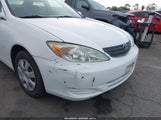 Miniaturka zdjęcia 6