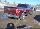 Ford F-150 Fx4/Harley-Davidson/King Ranch/Lariat/Platinum/Xl/Xlt 1FTFW1EV4AFA42124 снимка