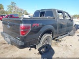 Ford F-150 Fx4 1FTFW1ET3EFC63380 снимка