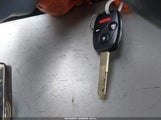Miniaturka zdjęcia 11