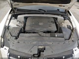 Cadillac Cts Standard 1G6DC1E31C0115747 снимка