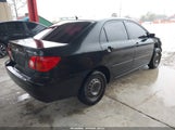Miniaturka zdjęcia 4