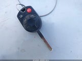 Miniaturka zdjęcia 11
