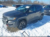Jeep New Compass Trailhawk 4X4 3C4NJDDBXHT681904 снимка
